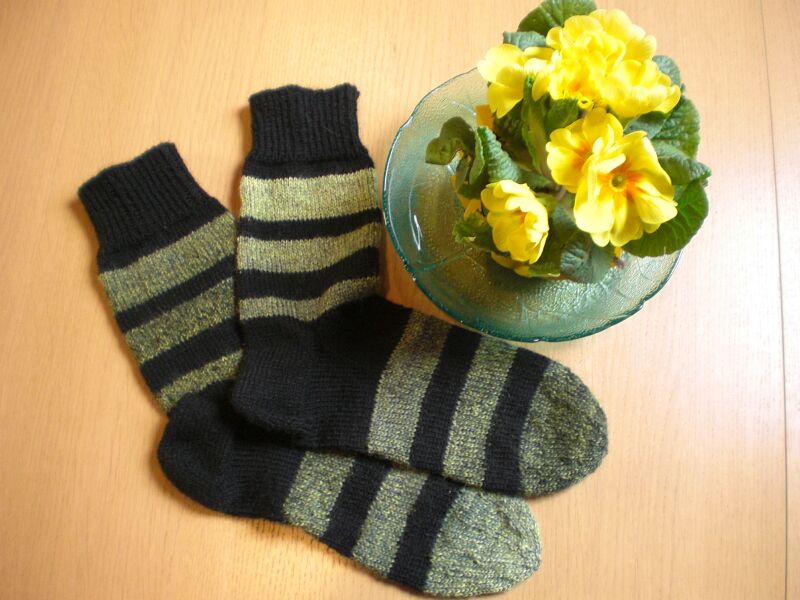 Socke35.jpg (78402 Byte)